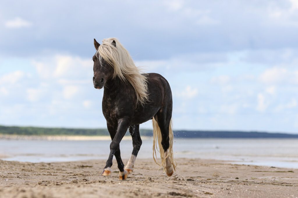 Fotoreise nach Usedom