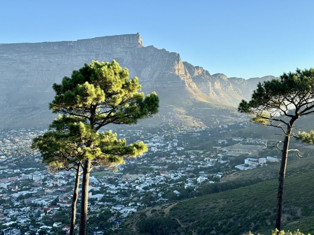 Kapstadt: Sonne, Safari und Kontraste